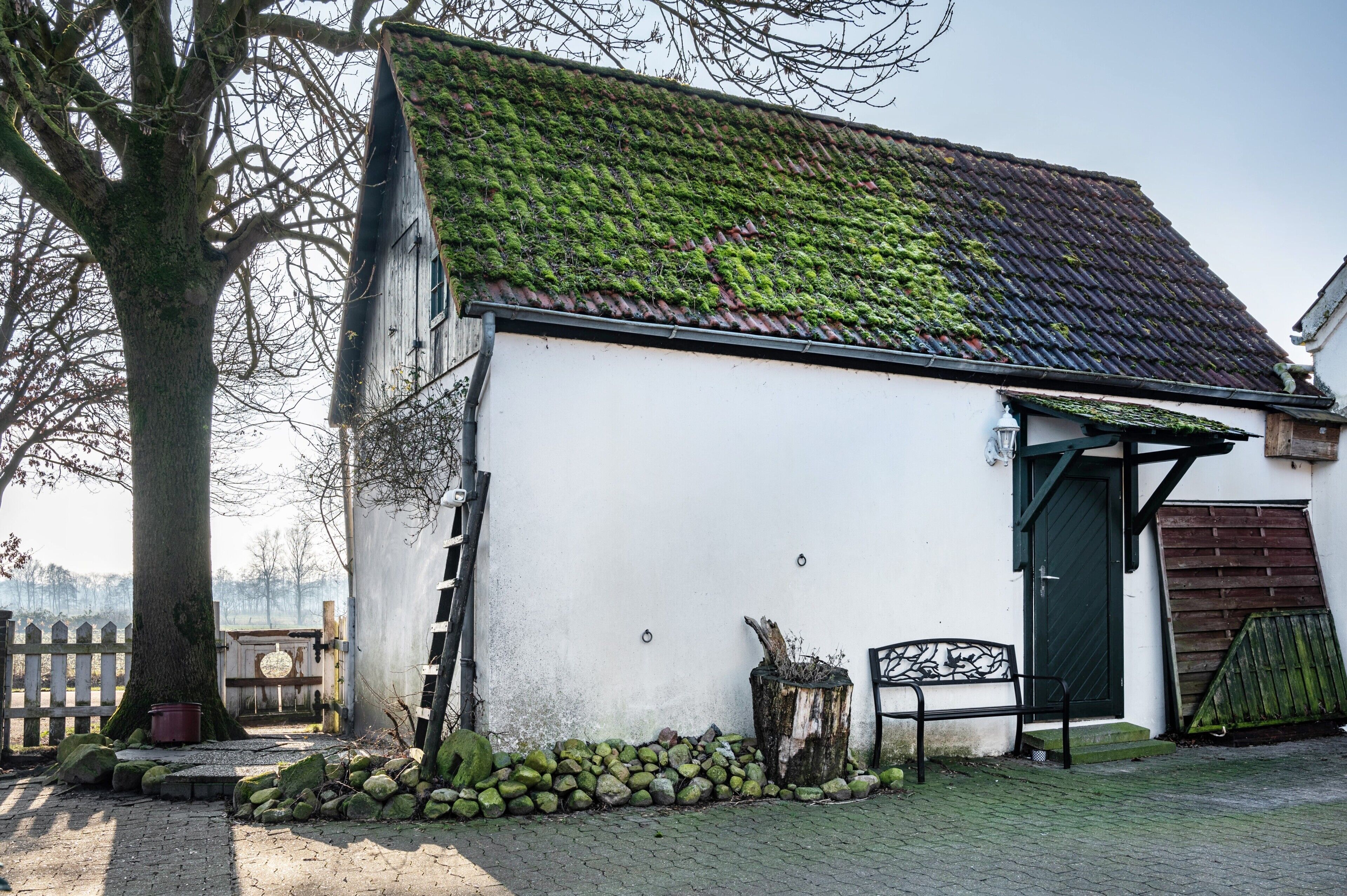 A white building with a moss-covered roof, a wooden bench, and a tree in the foreground.