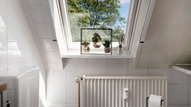 A skylight with three potted plants, a white radiator, and a window with a view of trees.