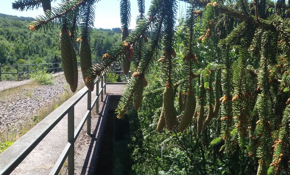 Property grounds - Holiday Home 'Zur Schönen Aussicht' with Private Terrace, Private Garden and Wi-Fi (Hardt)