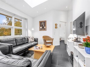 Fernseher, Kamin, DVD-Player