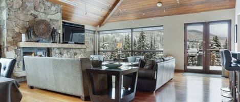 Télévision, cheminée, espaces bureaux