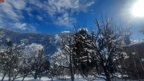 A snowy landscape with bare trees and a mountain in the background. - Apple Field House - Hotel in Old Manali (Manali)