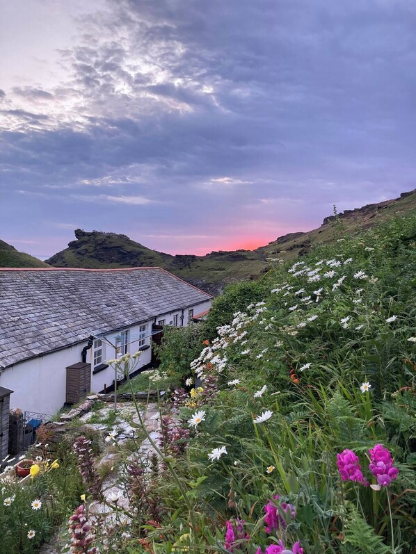 A white building with a grey roof, surrounded by a variety of wildflowers and greenery.