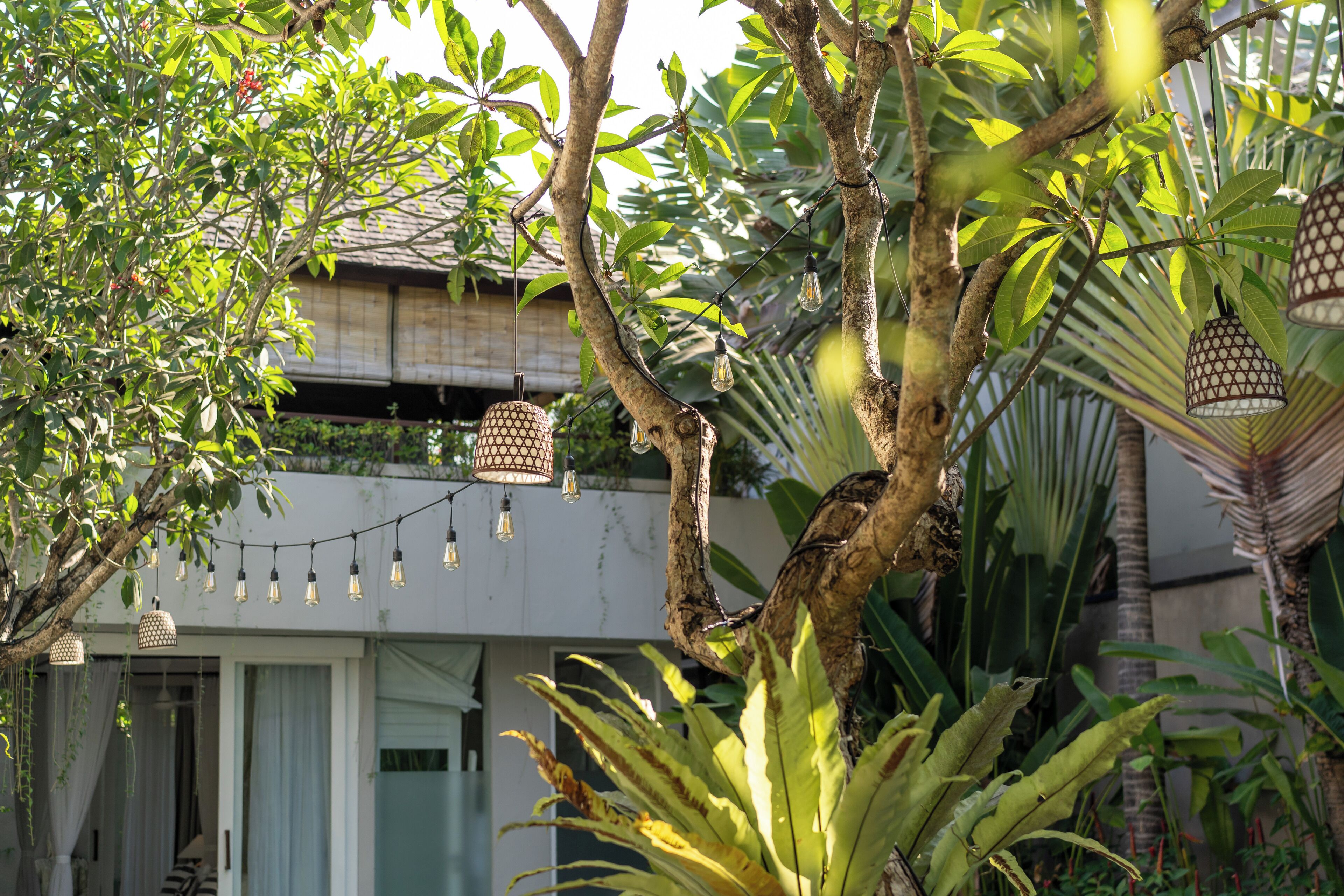 Ein Baum mit hängenden Leuchten und ein Gebäude mit Balkon im Hintergrund.