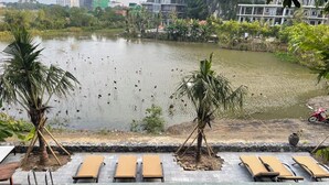 Ảnh chưa phân loại, 4 trong số 37 ảnh, nút