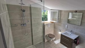 A modern bathroom with a glass shower enclosure, a toilet, a sink, and a mirror.