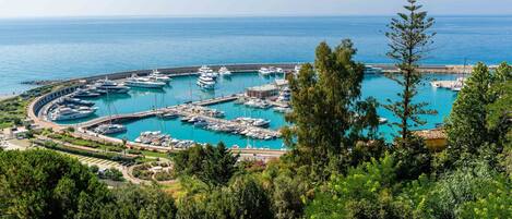 Marina