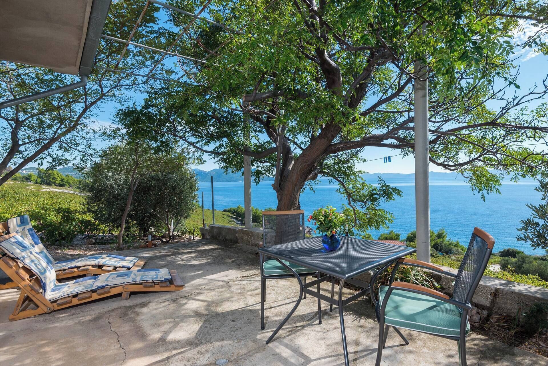 An outdoor seating area with a table and chairs, a large tree, and a view of the sea.