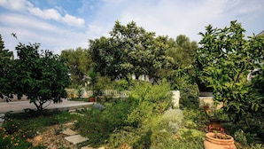 A garden with various plants and a large terracotta pot.