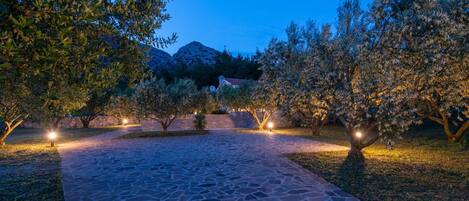 Área da propriedade