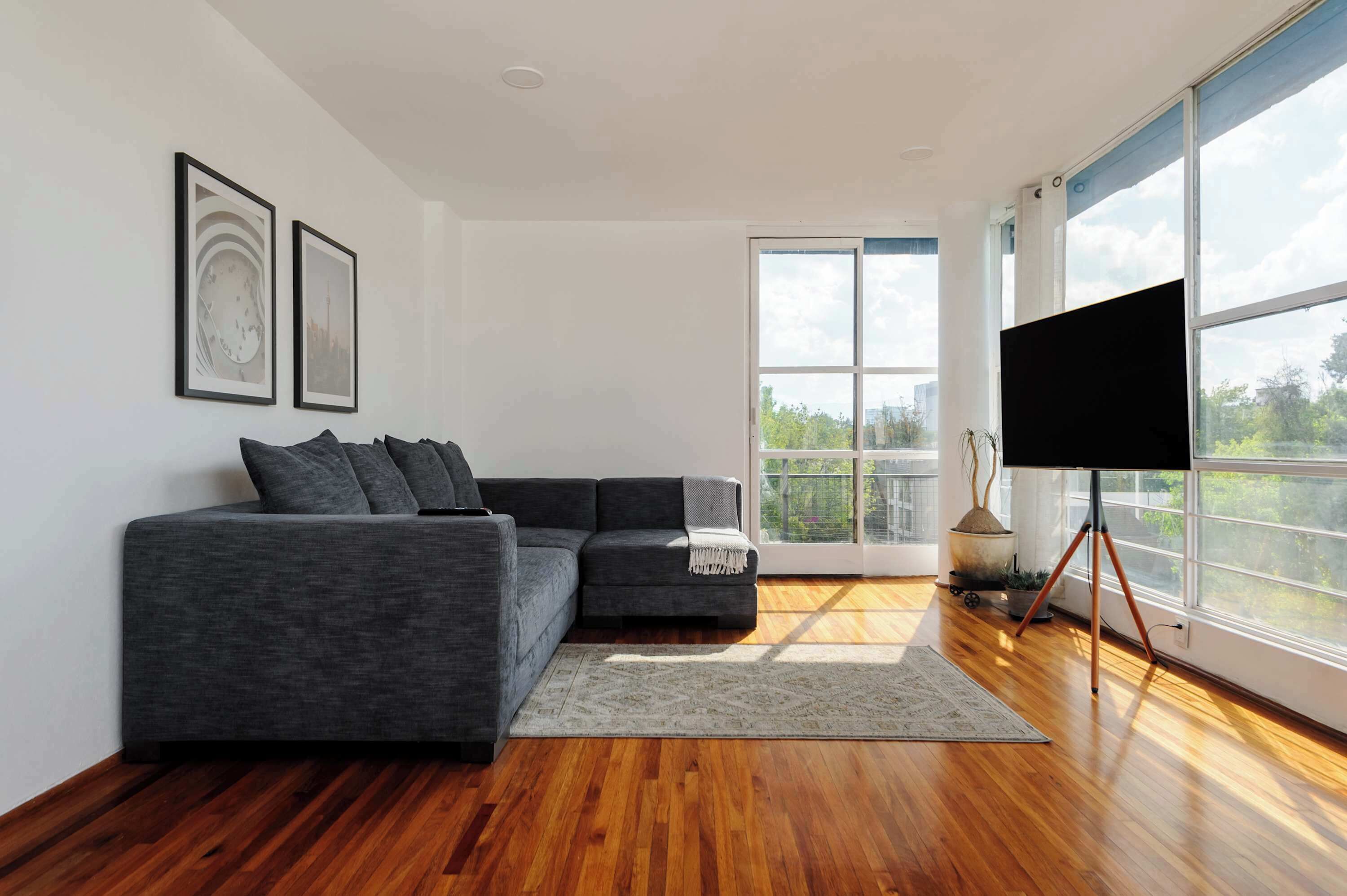 A modern living room with a grey sectional sofa, a flat-screen TV on a tripod stand, and a large window offering a view of greenery and buildings.