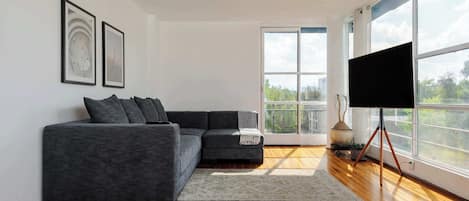 Fernseher, Arbeitsbereiche