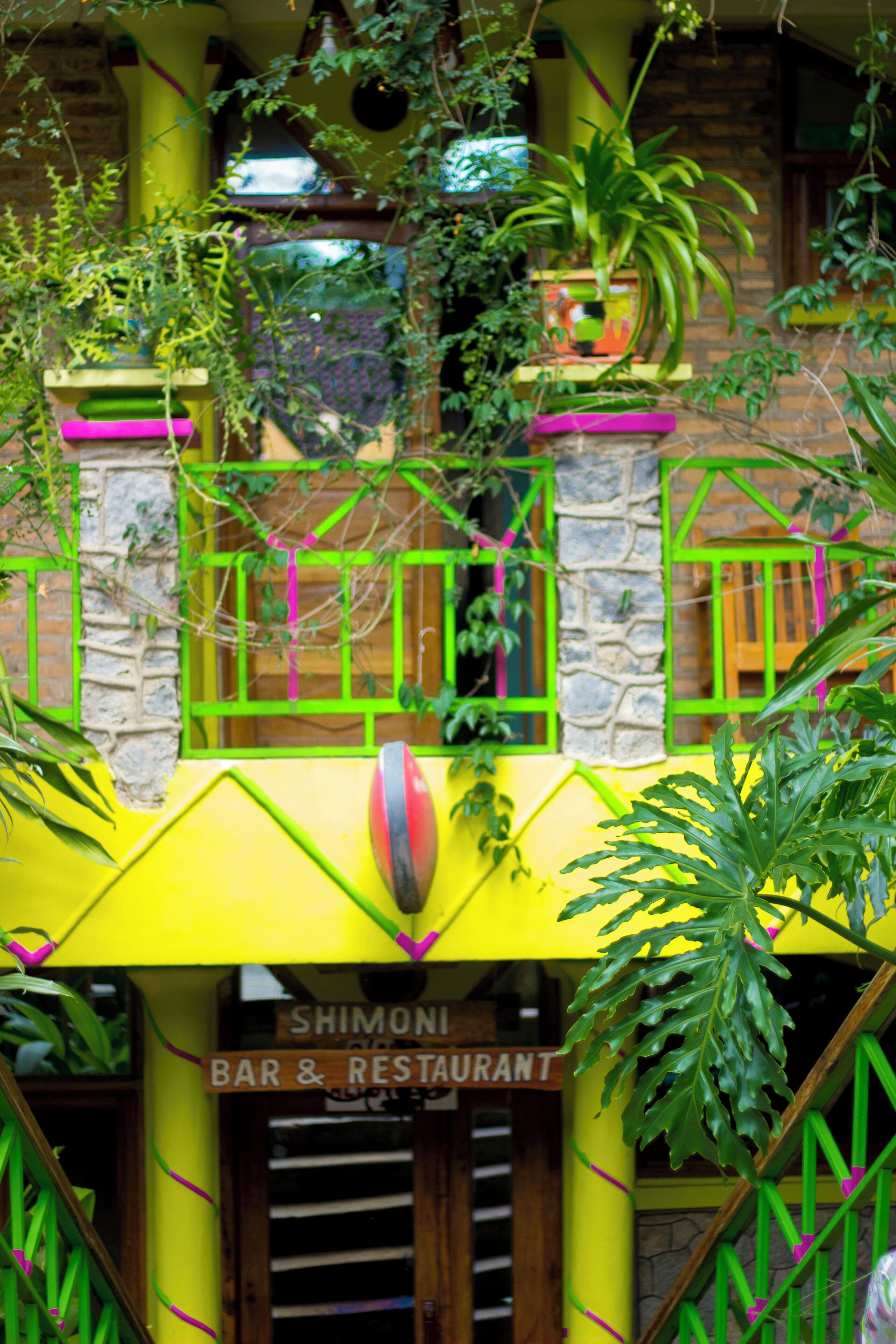 Un bar-restaurant appelé « Shimonis », avec une façade jaune, des encadrements de fenêtres verts et un mur en pierre.
