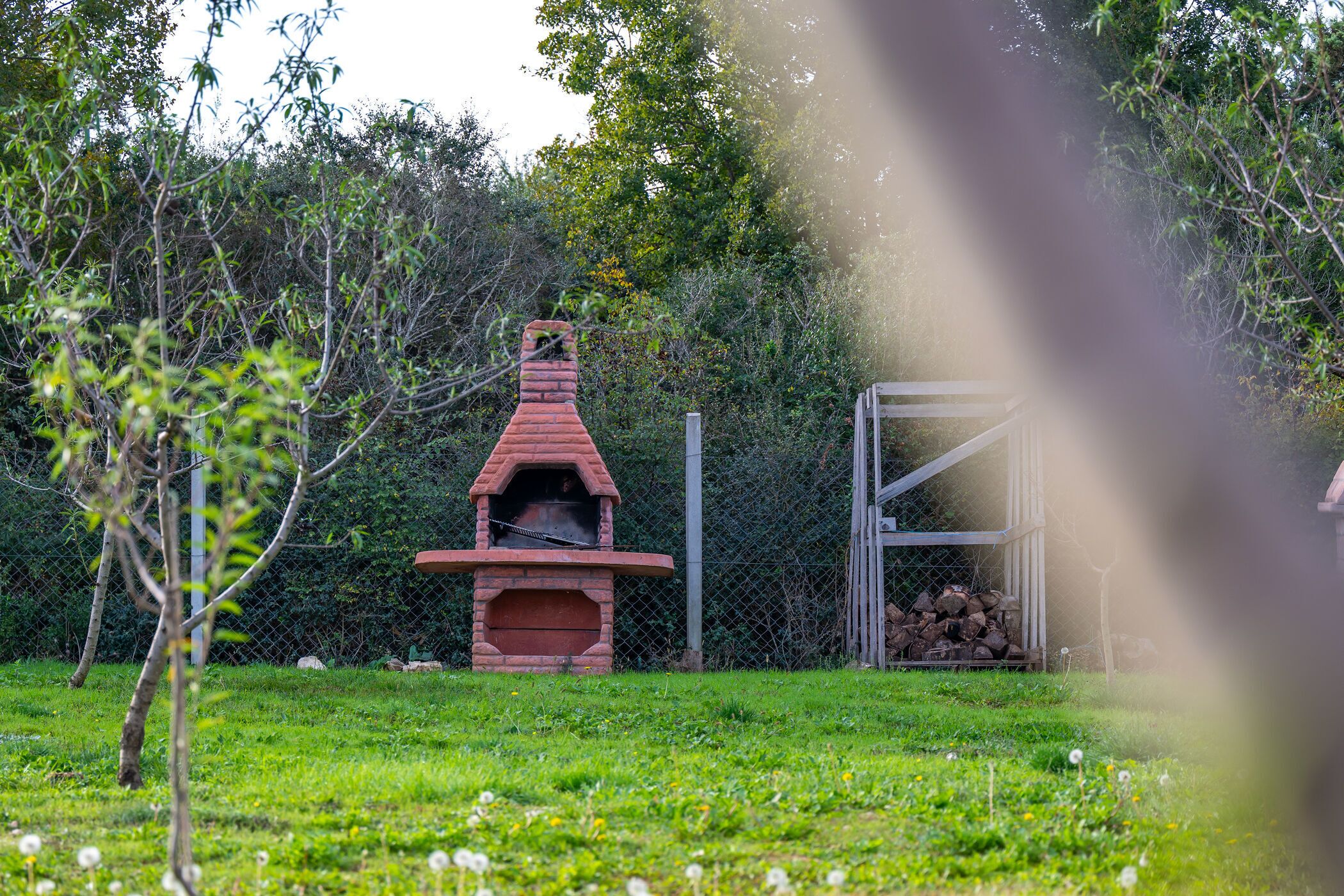 A brick outdoor oven in a grassy area with a fence and trees in the background.