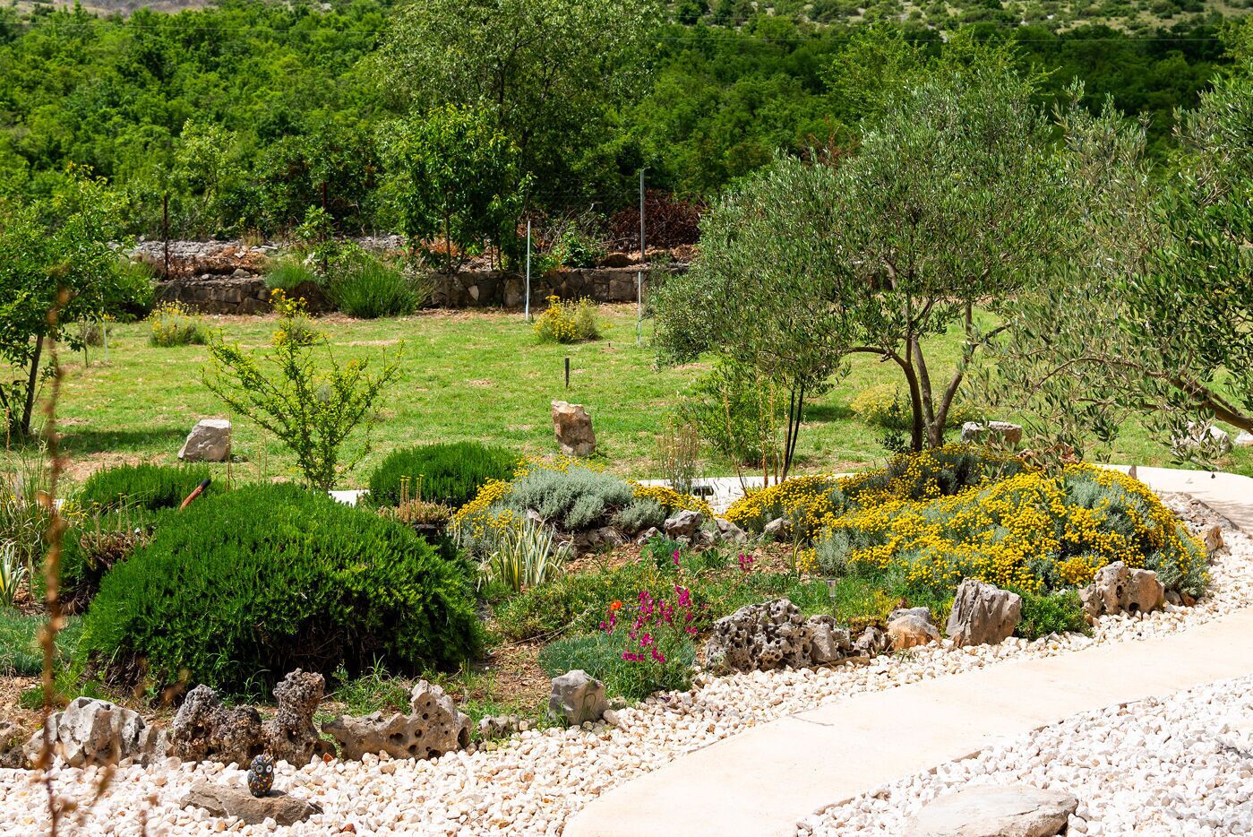 Un jardín ajardinado con diversas plantas, rocas y un sendero.