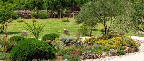 Un jardín ajardinado con diversas plantas, rocas y un sendero.