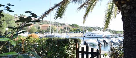 Blick auf den Garten