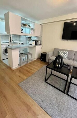 Cozy living space with a kitchenette, sofa, coffee table, and flat-screen TV.