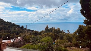 Vista costera con balcón que da a un mar y vegetación exuberante.