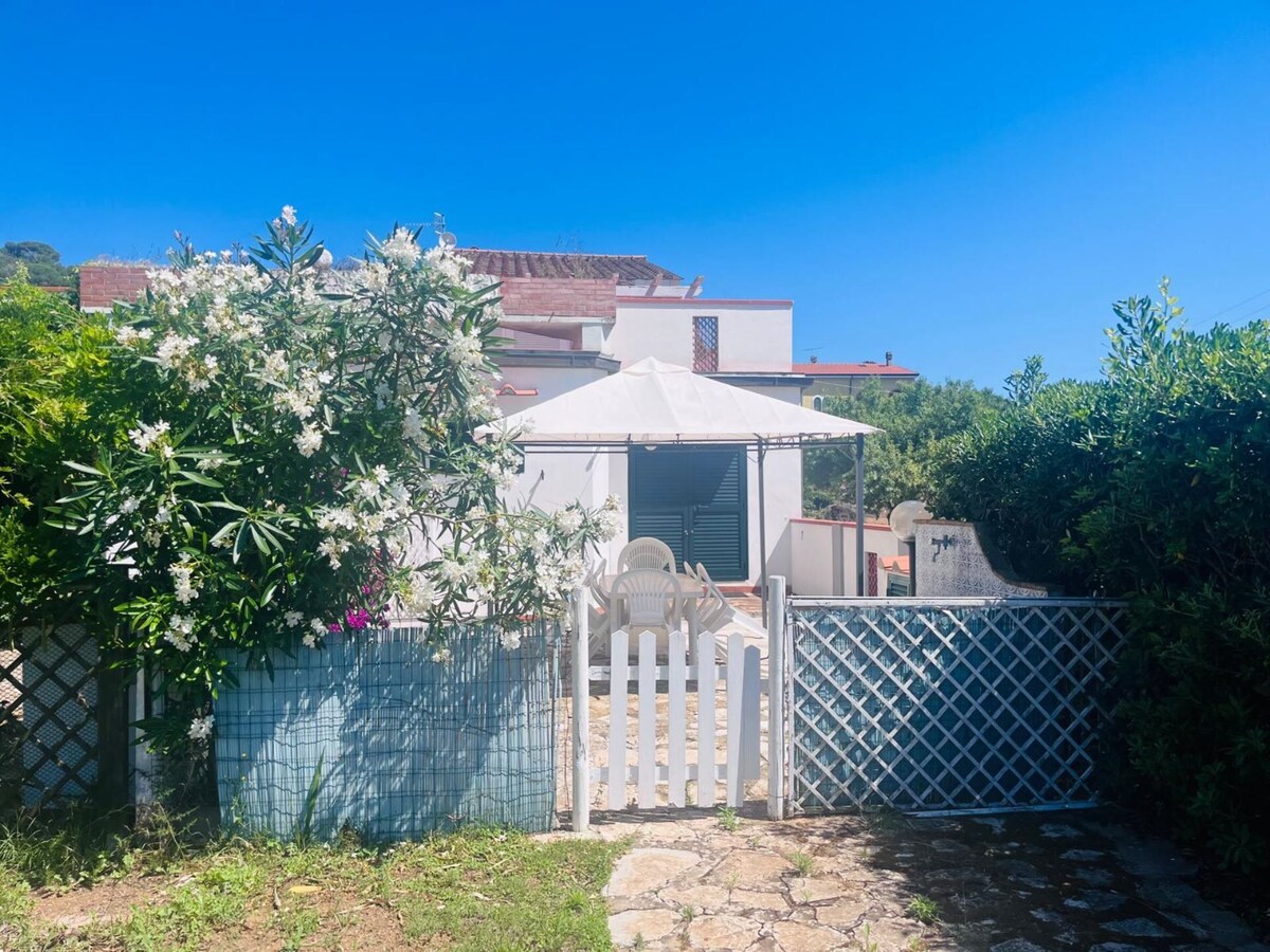 Imagen de perfil del propietario o de la propietaria