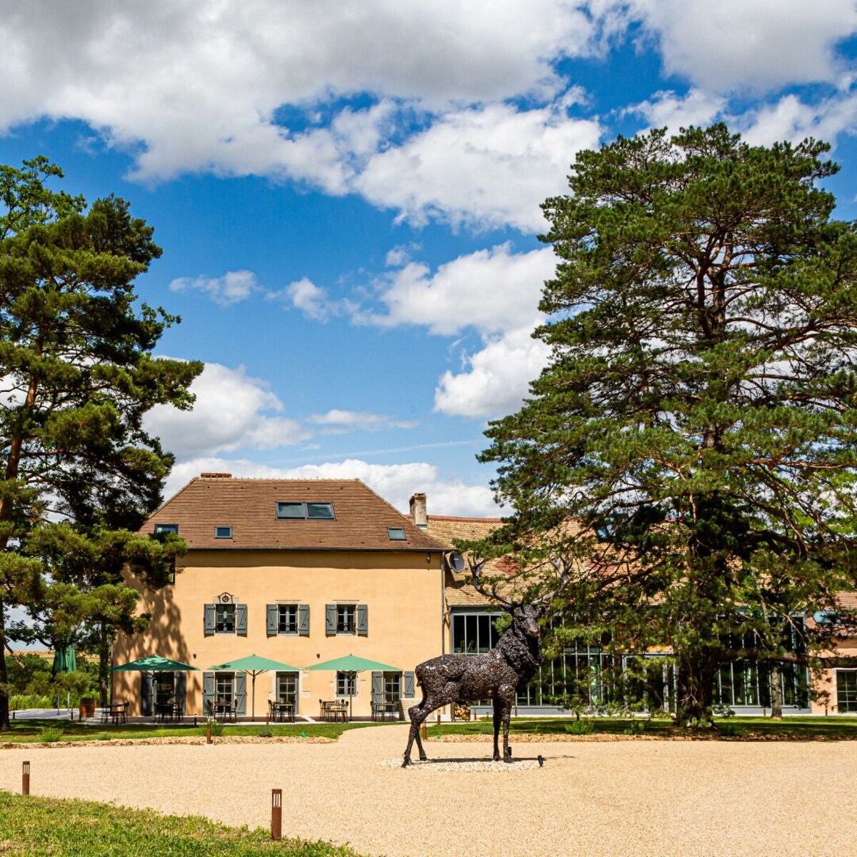 Bild für Gastgeberprofil