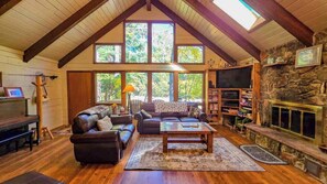 Télévision, cheminée, lecteur de DVD, chaîne hi-fi