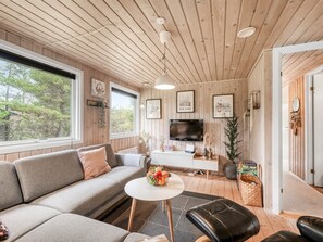 Fernseher, Kamin