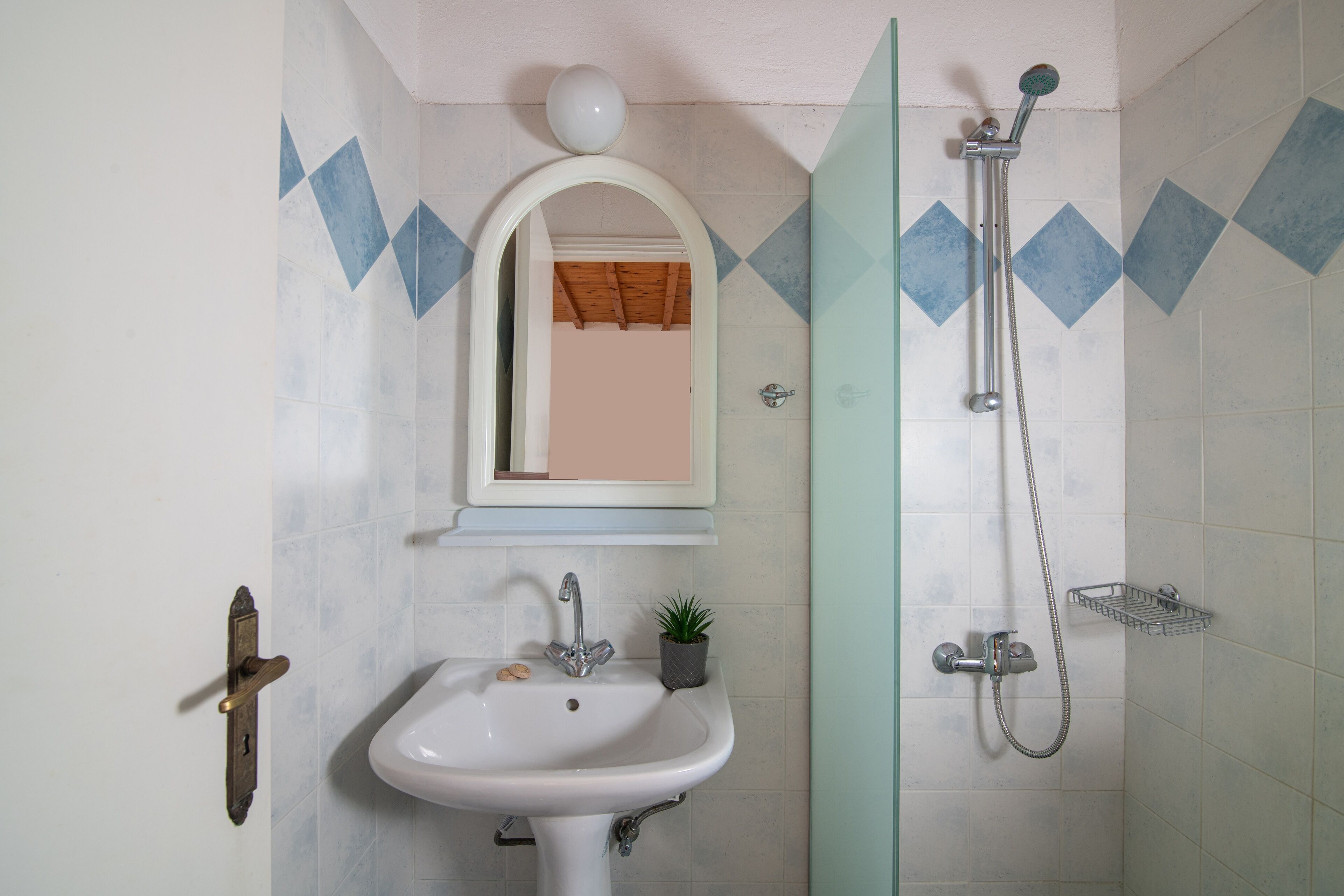 Un baño con lavamanos, espejo, ducha y una pequeña planta en maceta.