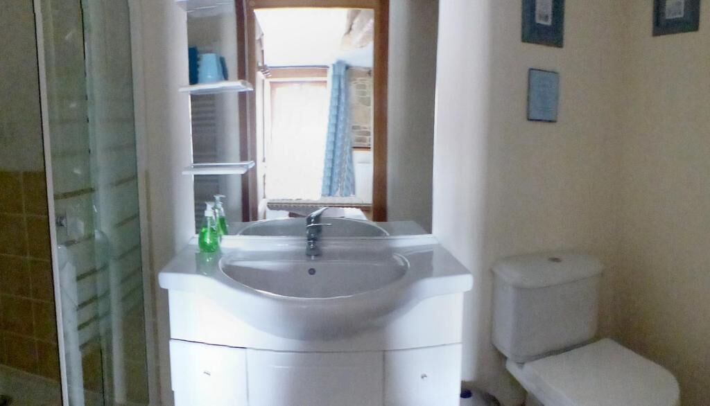 A bathroom with a white sink, a toilet, and a window with a curtain.
