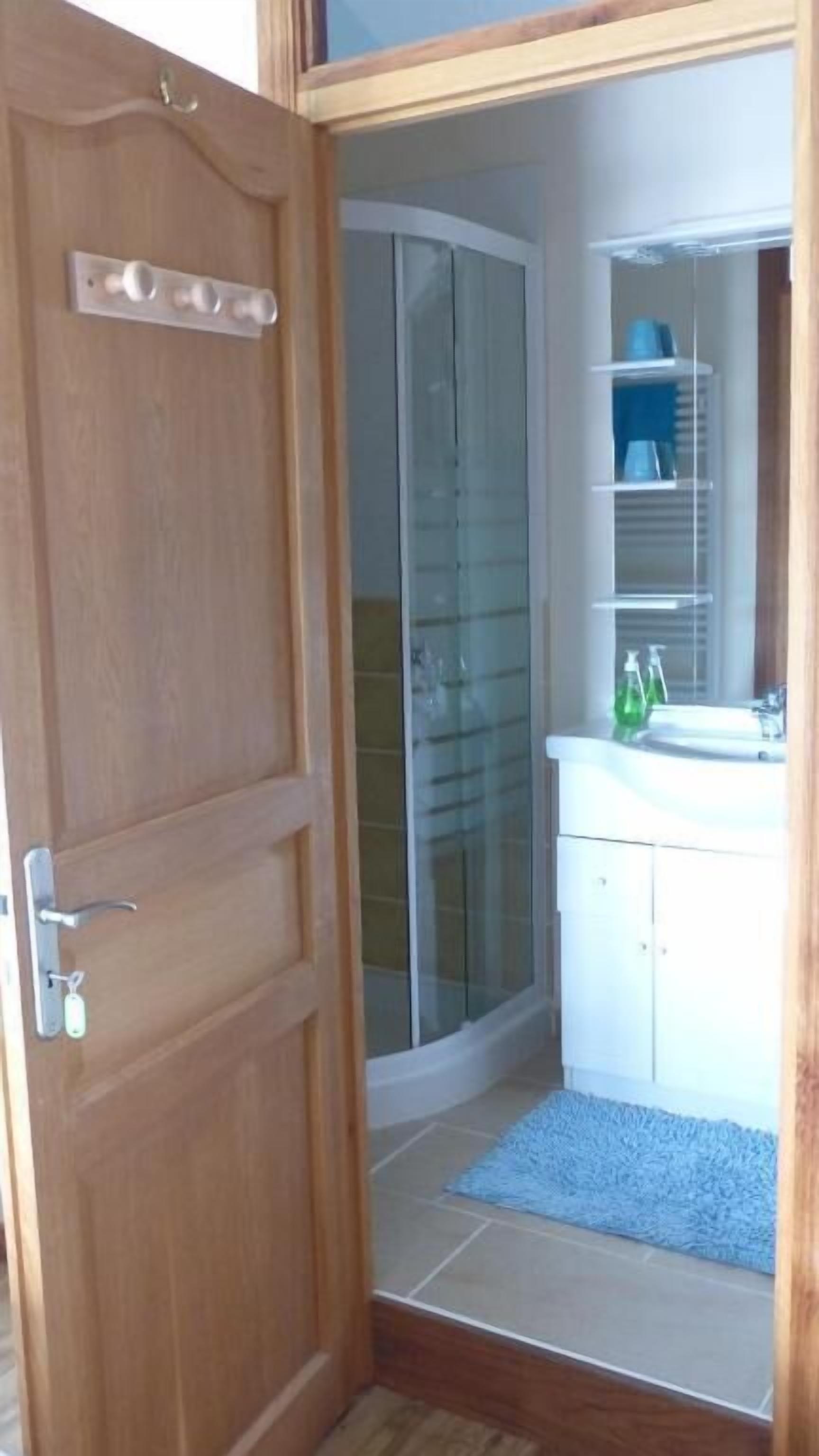 Un baño con cabina de ducha de vidrio, un lavabo blanco y un espejo.