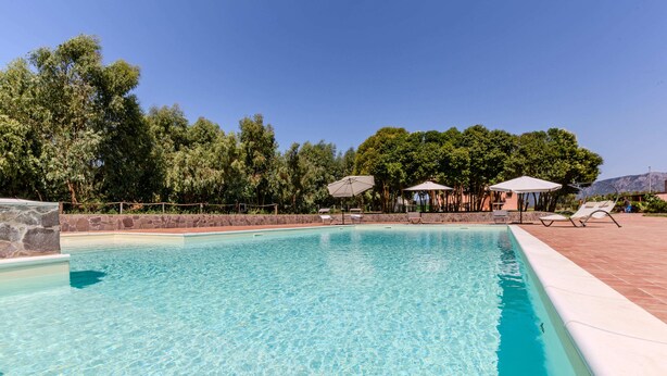 A clear swimming pool with lounge chairs and umbrellas, surrounded by trees and a stone wall. - Countryside house - 6 (Carbonia)