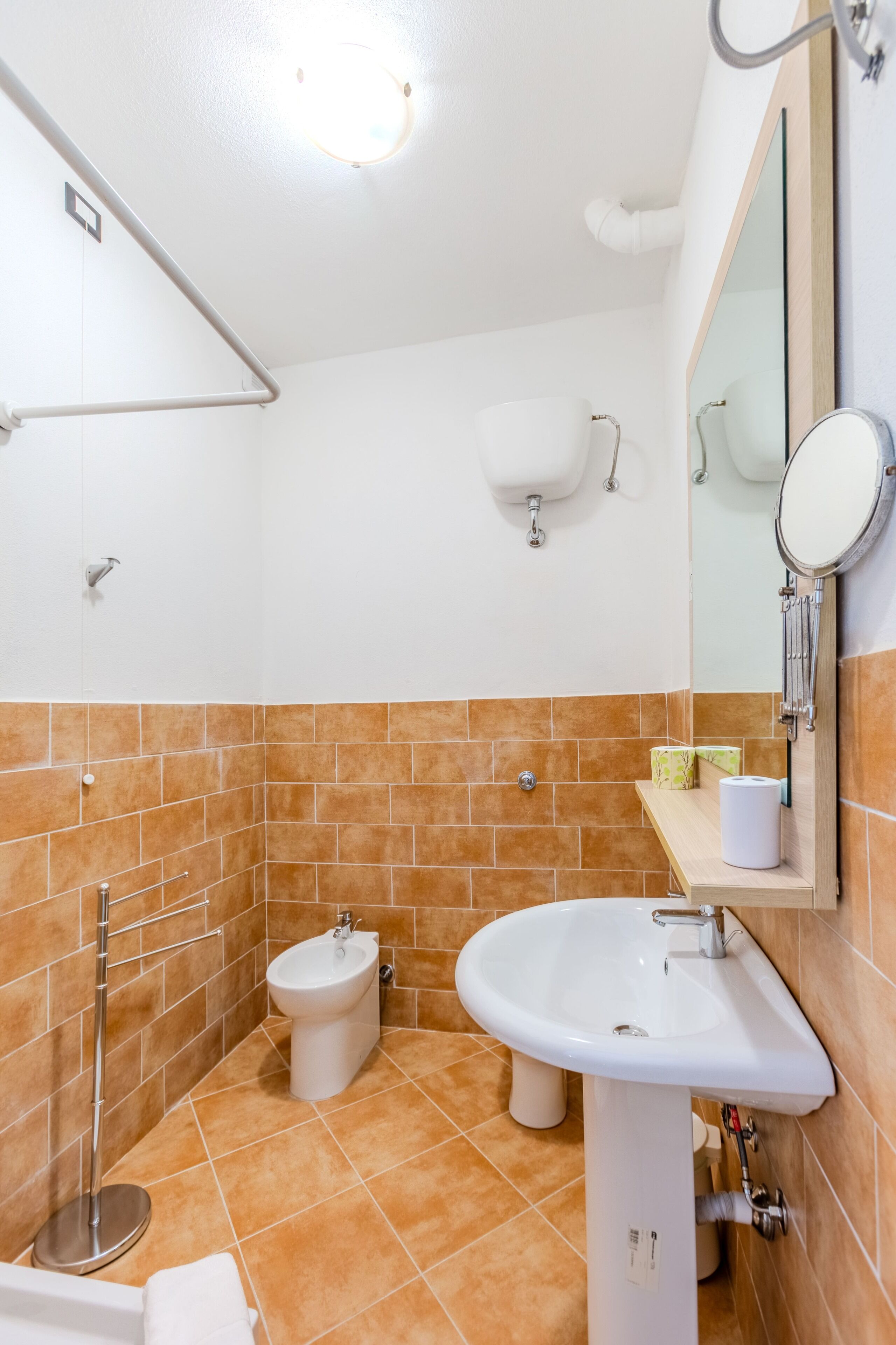 A bathroom with a white sink, a bidet, a towel rack, and a mirror.