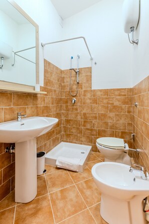 Shower, hair dryer, bidet
