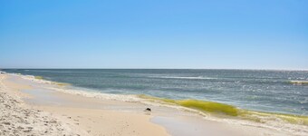Walk to Shore: Ocean View Cape San Blas Townhome