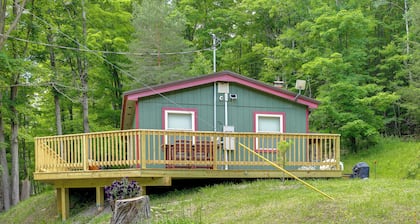 Finger Lakes Retreat: Cohocton Cabin on 25 Acres!