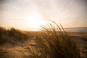 A beach scene with sand dunes and grasses in the foreground.