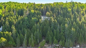 A house surrounded by dense forest, a beach, and clear water.