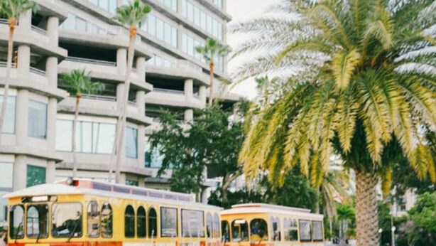 Un immeuble à plusieurs étages doté de balcons et bordé de palmiers.