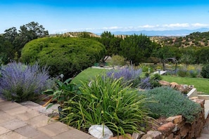 A landscaped garden with a variety of plants and a stone wall.