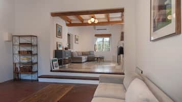 TV connectée, cheminée