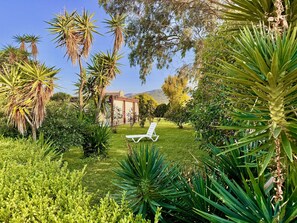 Property grounds - Beachfront Villa JustRelax with private pool (Acharavi)