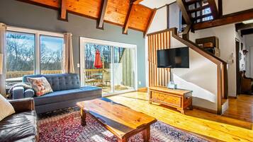 Télévision, cheminée, lecteur de DVD