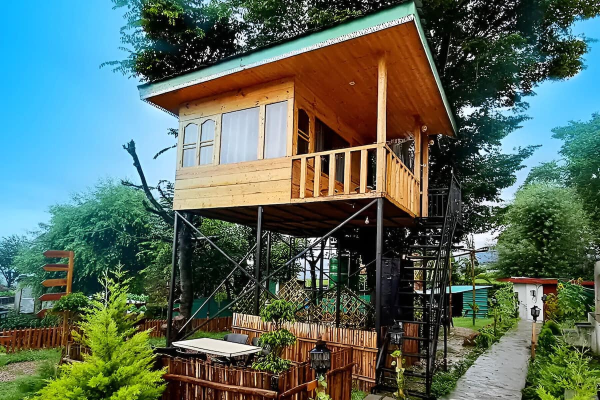 Une cabane en bois perchée dans un arbre, dotée d’un balcon, entourée de verdure et accessible par un sentier pavé de pierres.