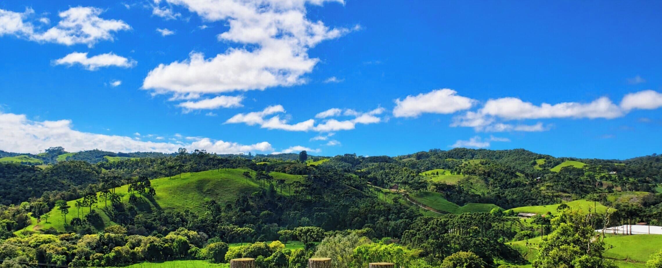 A panoramic view of a lush green landscape with rolling hills and scattered trees under a clear blue sky.