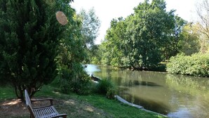 A bench by a pond surrounded by trees and greenery. - Ferienhaus Direkt an der Spree (Lübben (Spreewald))
