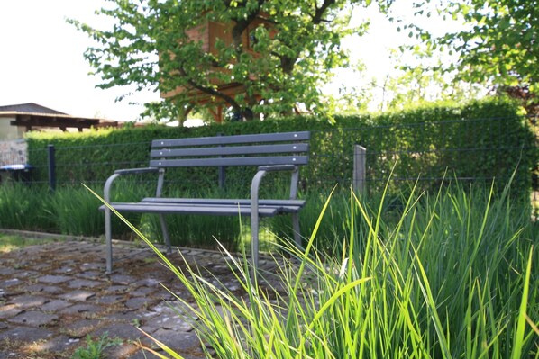 A park bench surrounded by tall grass and a hedge. - Ferienhaus Direkt an der Spree (Lübben (Spreewald))