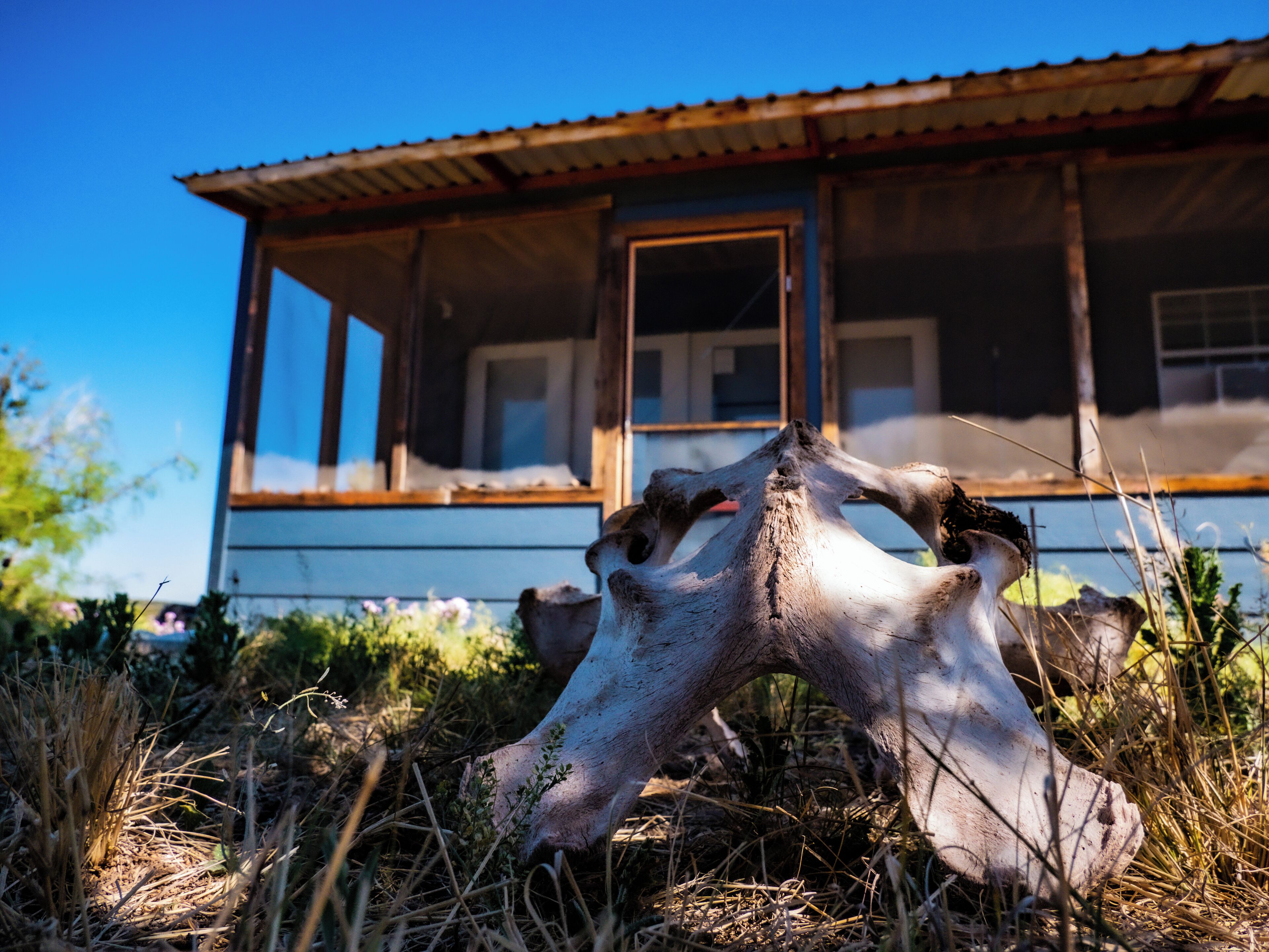 Explorers Hideout (GLAMPING - Shared Bathroom) | Terrace/patio