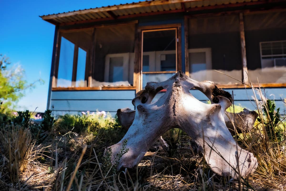 Explorers Hideout (GLAMPING - Shared Bathroom) | Terrace/patio