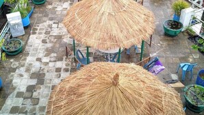 A row of thatched umbrellas on a stone-paved terrace with potted plants and a view of the sea. - Blue Marine Resort (Saint Martin's Island)