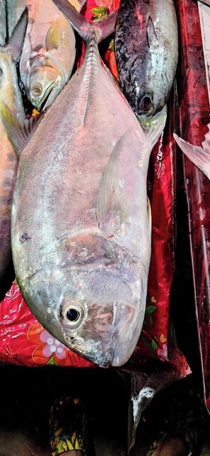 Free daily local cuisine breakfast 